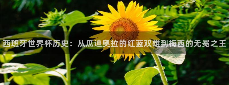 2026足球世界杯赛程时间表：西班牙世界杯历史：从瓜迪奥拉的红蓝双雄到梅西的无冕之王