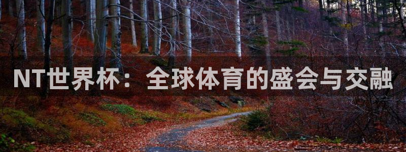 世界杯对阵图2026：NT世界杯：全球体育的盛会与交融