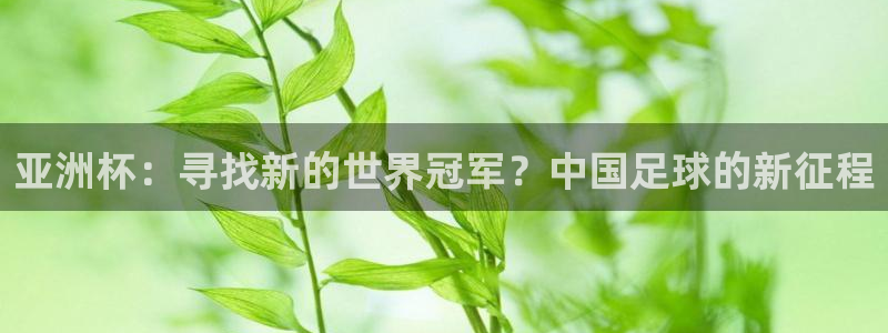 世界杯预赛赛程：亚洲杯：寻找新的世界冠军？中国足球的新征程