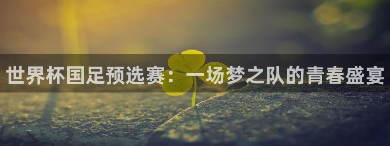 2026世界杯：世界杯国足预选赛：一场梦之队的青春盛宴