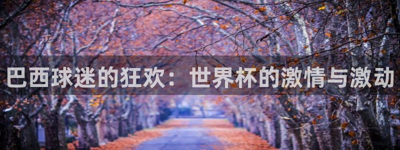 世预赛直播：巴西球迷的狂欢：世界杯的激情与激动