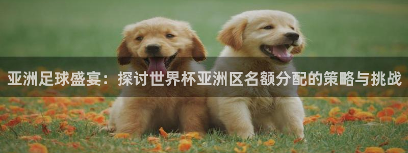 世界杯2026赛程表：亚洲足球盛宴：探讨世界杯亚洲区名额分配的策略与挑战