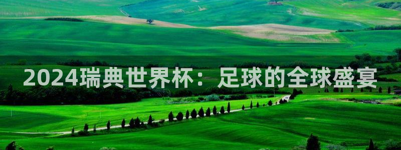 世界杯欧洲预选赛赛程：2024瑞典世界杯：足球的全球盛宴