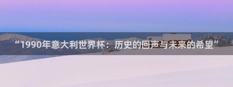 世界杯：“1990年意大利世界杯：历史的回声与未来的希望”