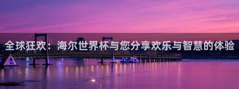 世界杯 中国：全球狂欢：海尔世界杯与您分享欢乐与智慧的体验