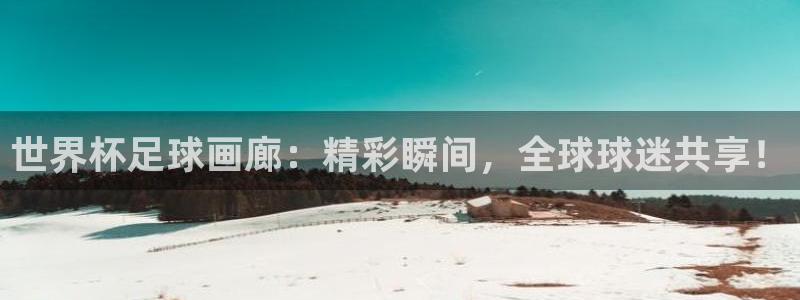 足球世界杯时间：世界杯足球画廊：精彩瞬间，全球球迷共享！