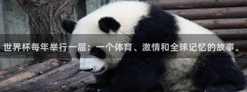 2026世界杯赛：世界杯每年举行一届：一个体育、激情和全球记忆的故事。