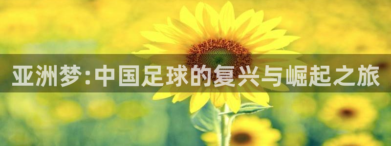 世界杯足球比赛：亚洲梦:中国足球的复兴与崛起之旅
