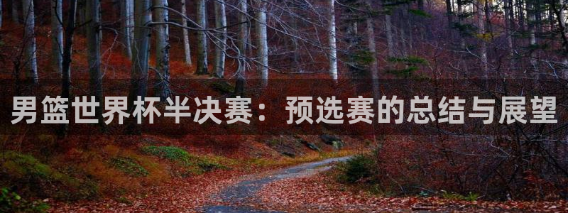 世界杯足球赛2026：男篮世界杯半决赛：预选赛的总结与展望