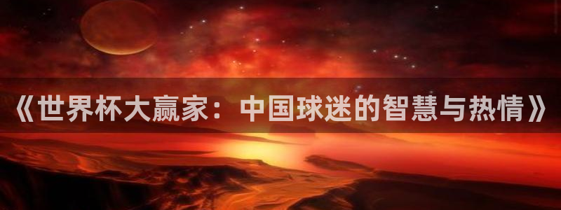 亚洲区世界杯预选赛：《世界杯大赢家：中国球迷的智慧与热情》